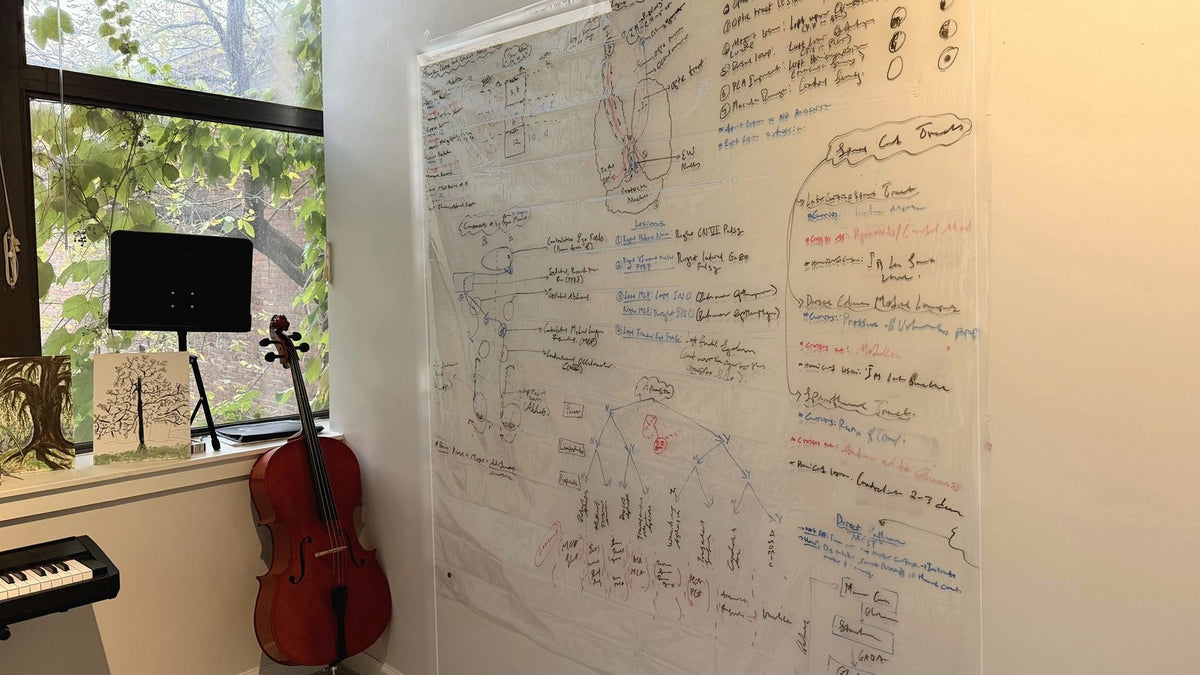 The clear sheet seen at an angle beside a tall window full of leaves, with a cello and a music stand in the corner.