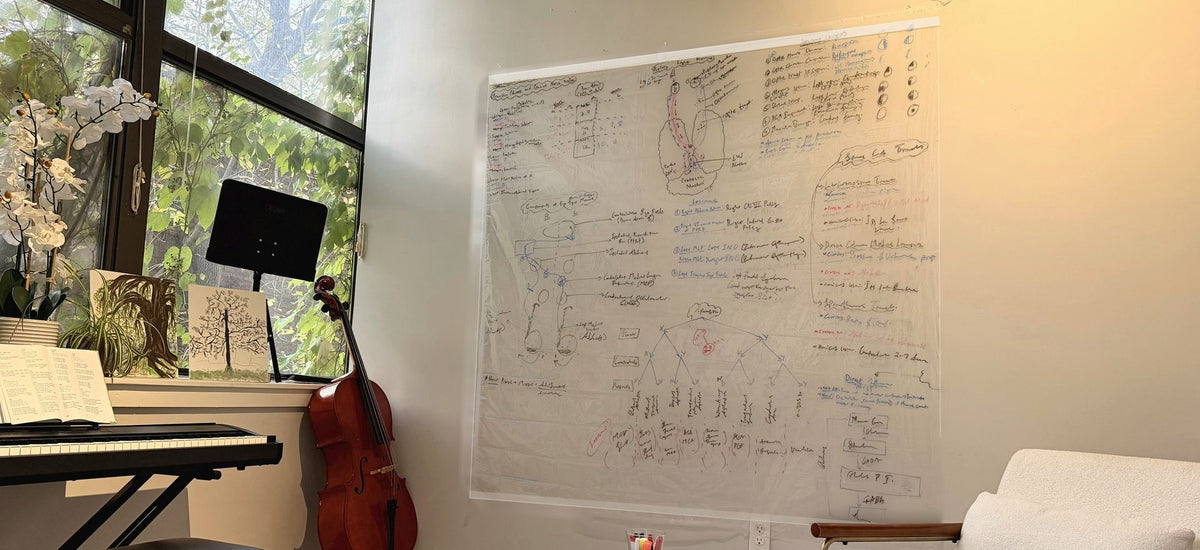 A sunlit living room: a clear sheet covered in diagrams hangs on a warm white wall beside a cello, a keyboard and a white bouclé chair.